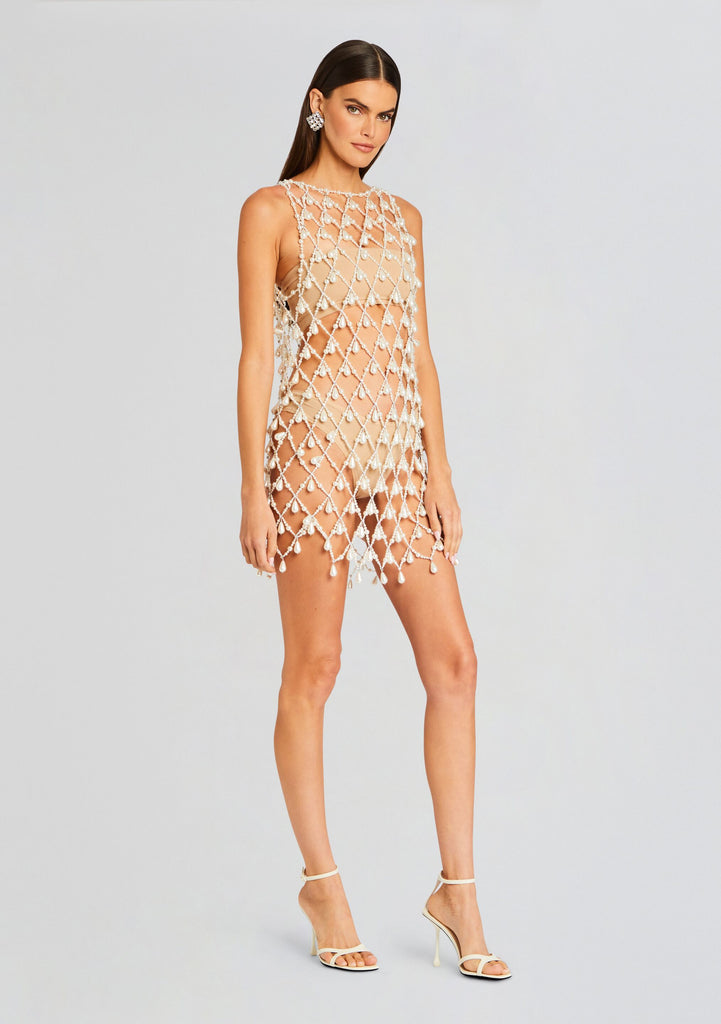Tessa Metalic Mesh Dress