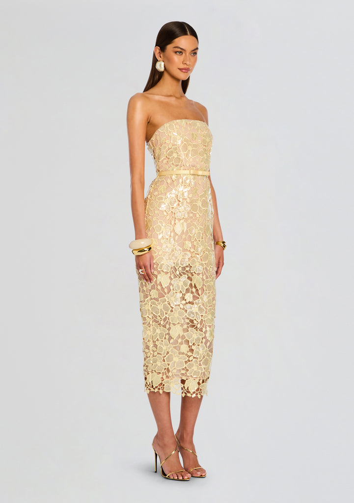Rowena Sequin Lace Dress – Retrofete