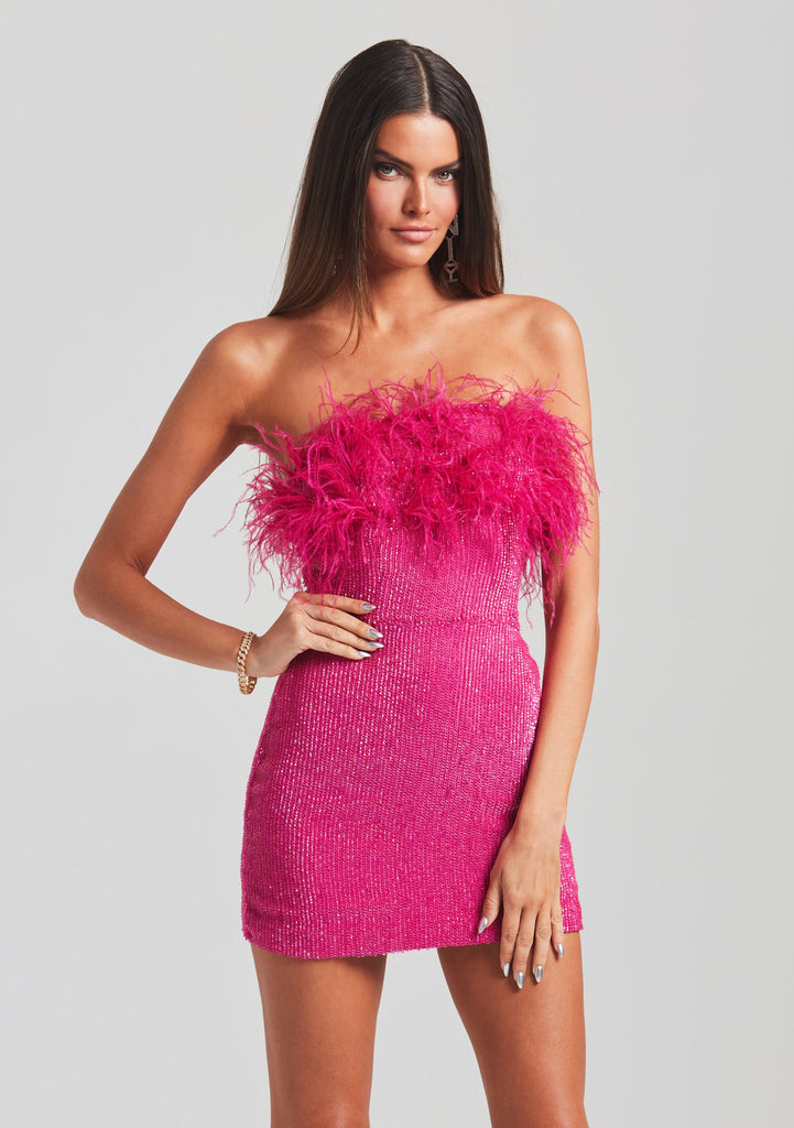 hot pink feather mod mary dress Tuckernuck | Dresses | Hot Pink Feather Mod Mary Dress