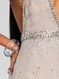 Courtnee Embellished Dress thumbnail media 3 of 6