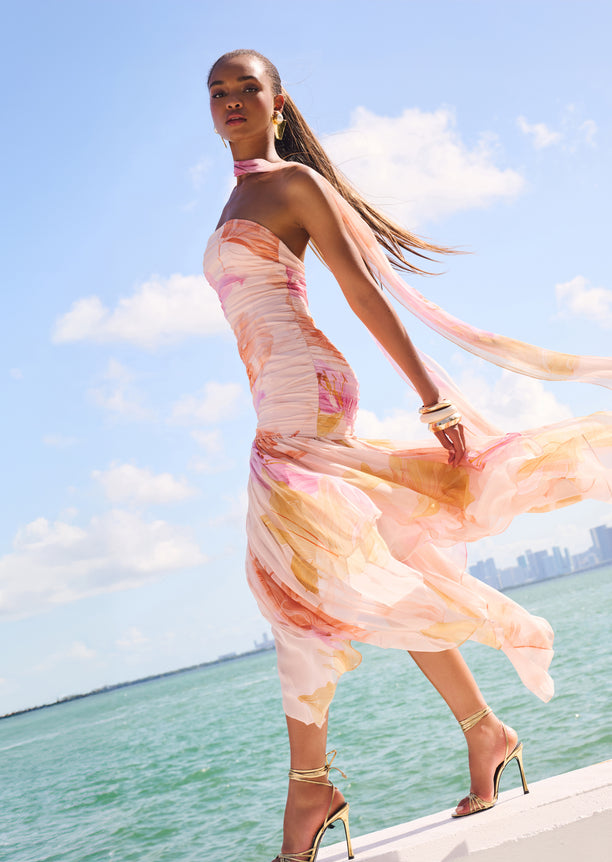 Teryn Silk Chiffon Dress