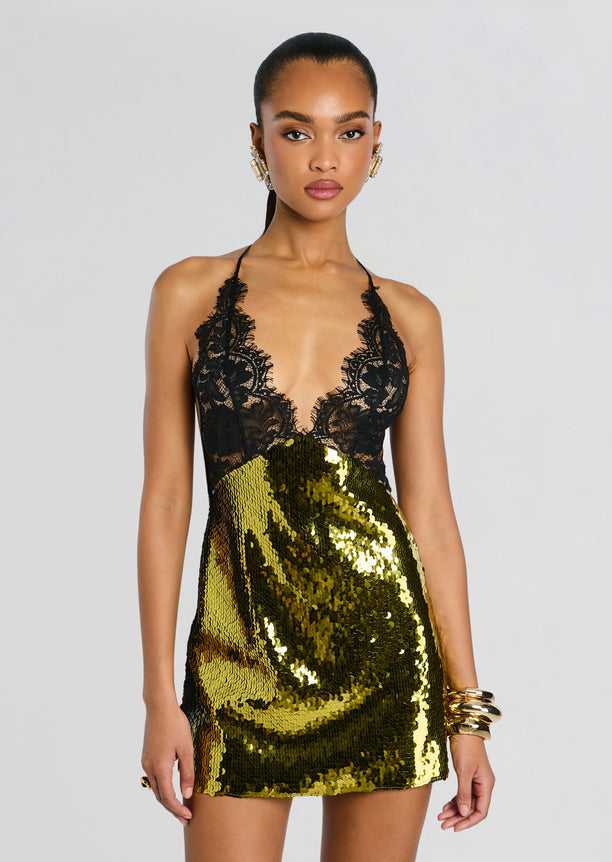 Edda Lace Embellished Dress