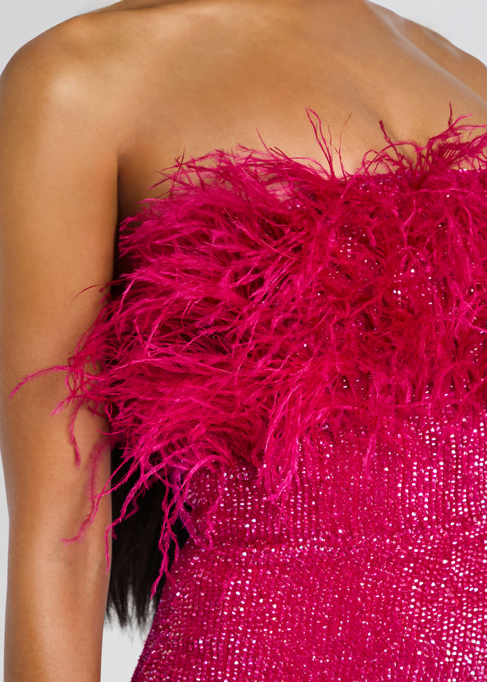 Torin Sequin Feather Dress close up showing vivid pink feathered bodice and glittering sequins media 2 of 5