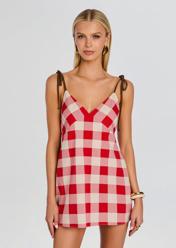 Shantie Mini Dress front view red and white gingham mini with brown shoulder ties and V neckline