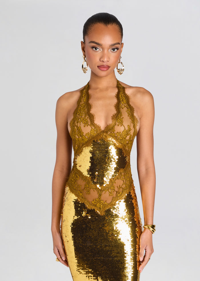 Vicky Sequin Lace Dress media 5 of 5