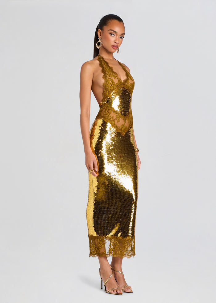 Vicky Sequin Lace Dress media 3 of 5