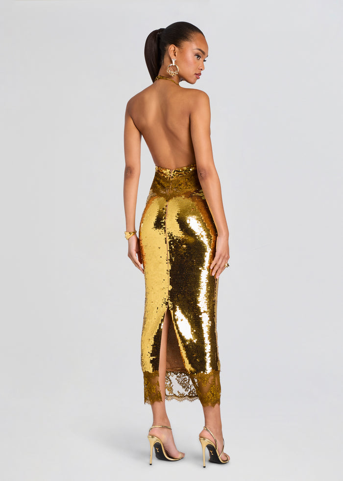 Vicky Sequin Lace Dress media 4 of 5