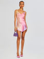 Pracilla Silk Mini Dress
