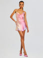 Pracilla Silk Mini Dress