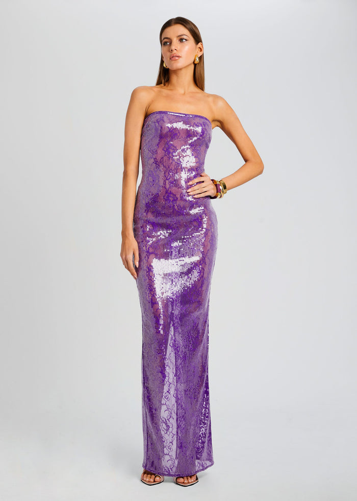 Lucia Sequin Lace Dress