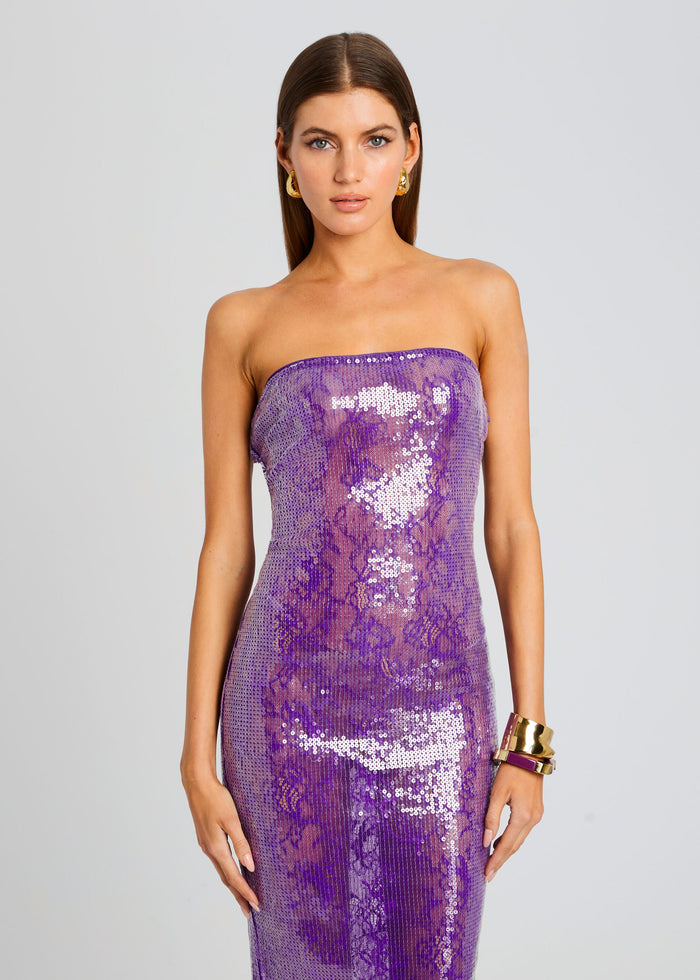 Lucia Sequin Lace Dress