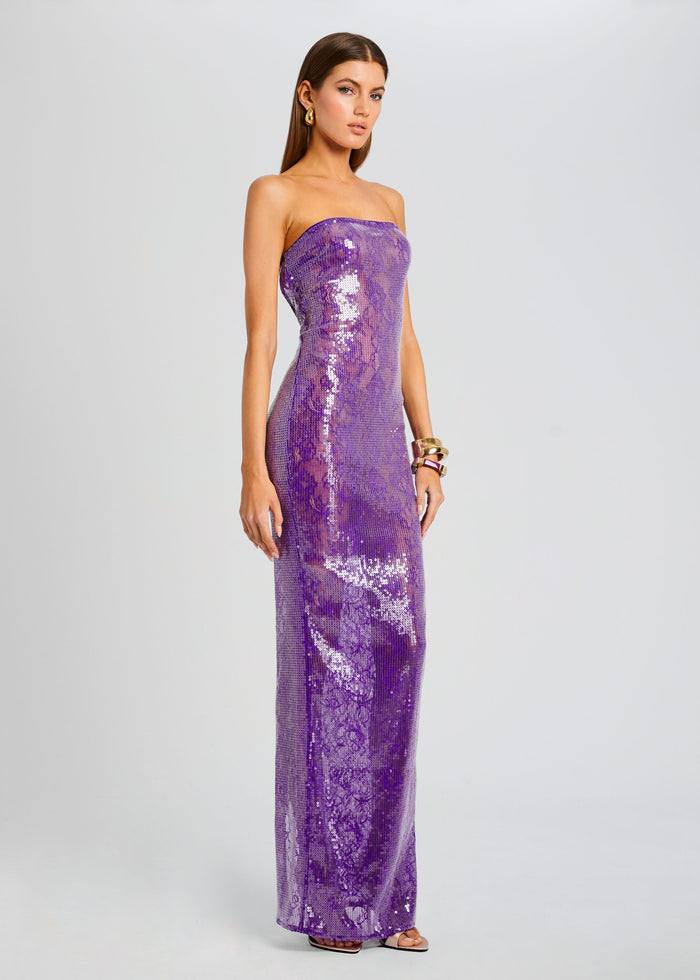 Lucia Sequin Lace Dress