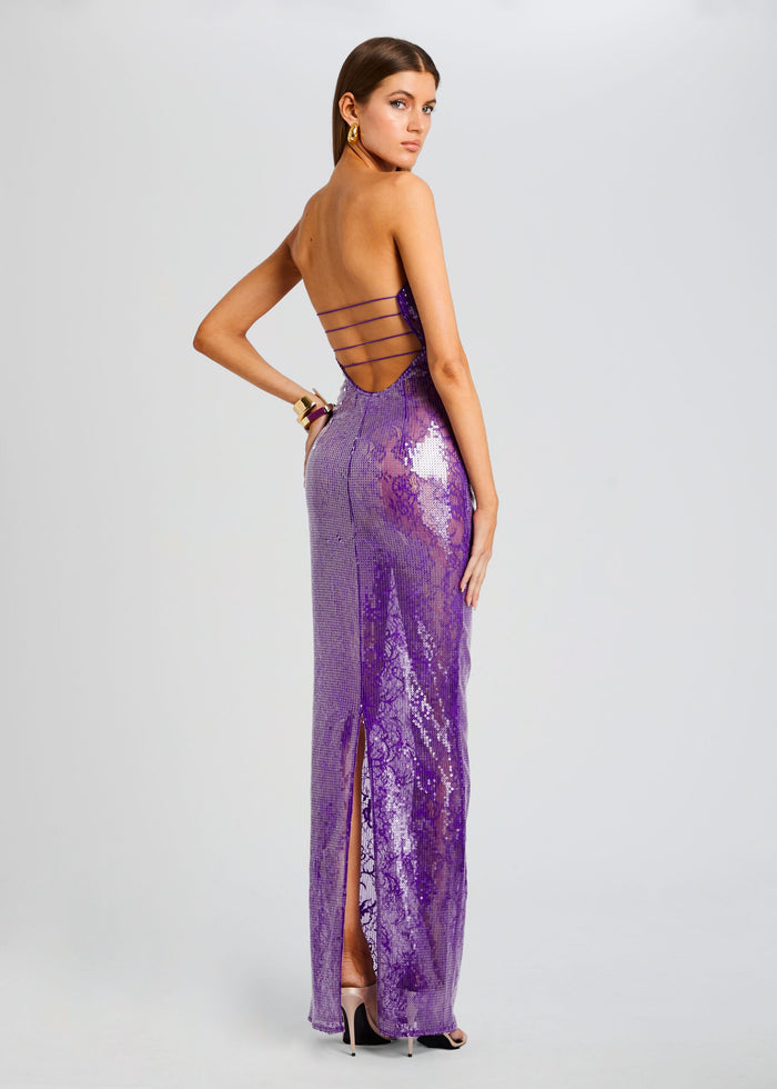 Lucia Sequin Lace Dress
