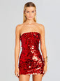 Nolia Sequin Embellished Dress