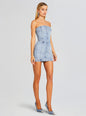 Kamna Embellished Denim Dress