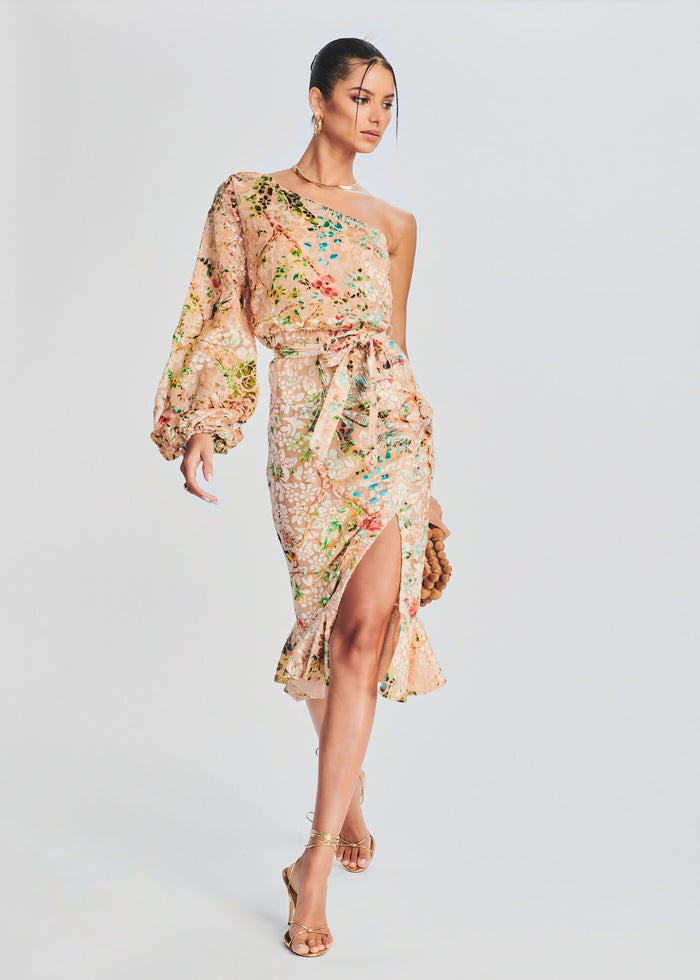 Veena Long Dress