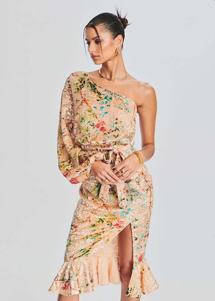 Veena Long Dress