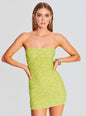 Dionne Sequin Dress