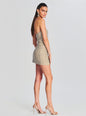 Heather Embellished Dress