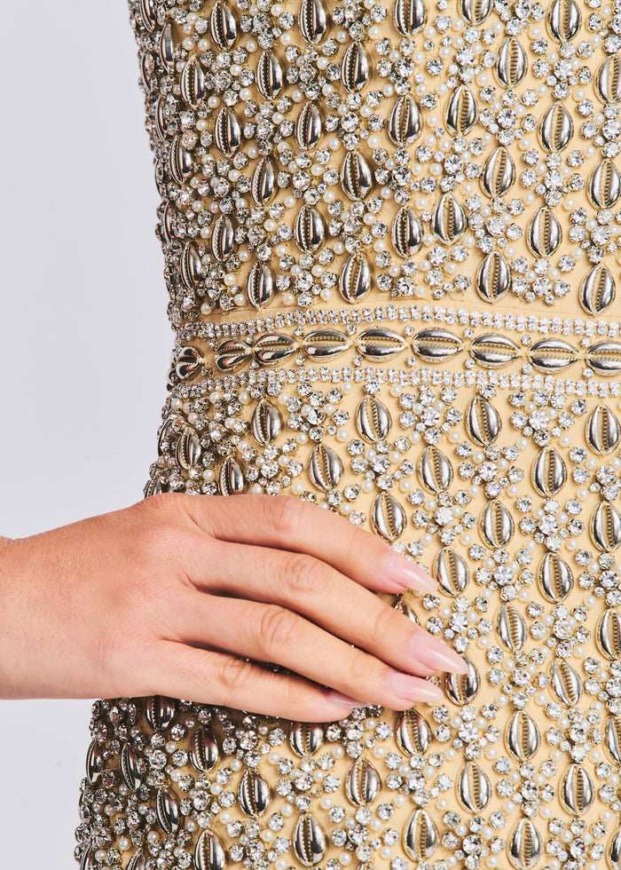 Heather Embellished Dress