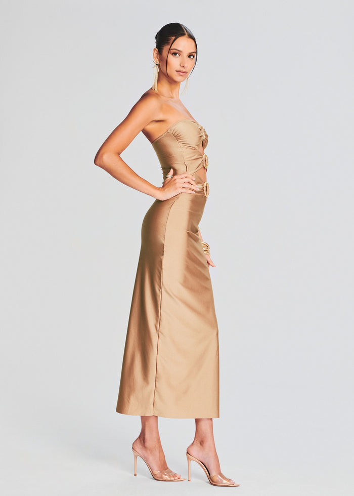 Lily Lycra Maxi Dress
