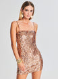 Nara Feather Sequin Dress