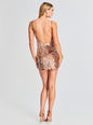 Nara Feather Sequin Dress