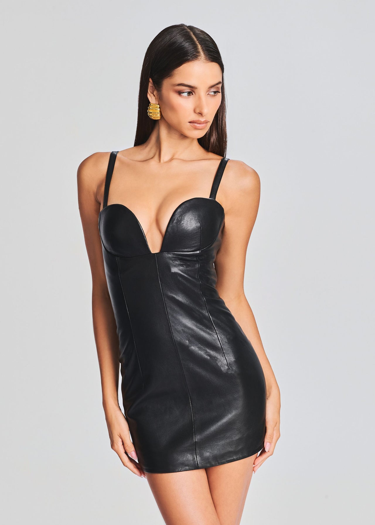Phoebe Leather Dress