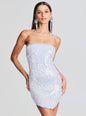 Kelly Sequin Feather Dress