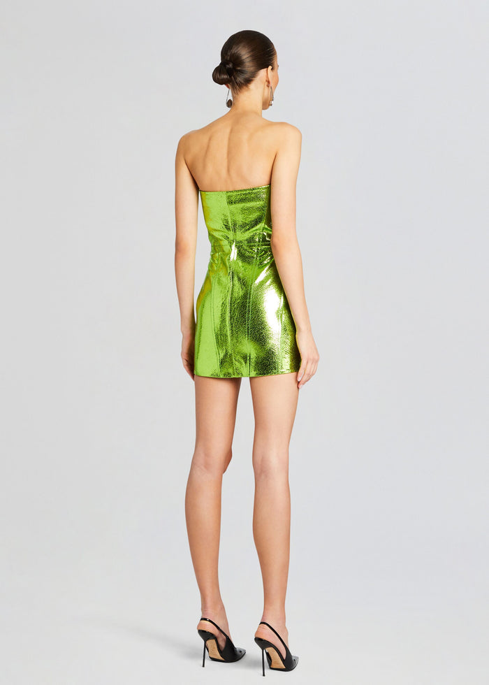 Sylvie Leather Dress