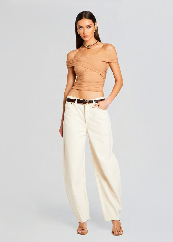 Aruba Mesh Top