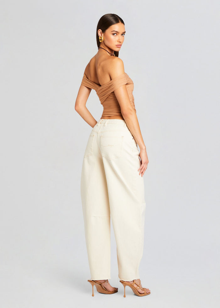 Aruba Mesh Top