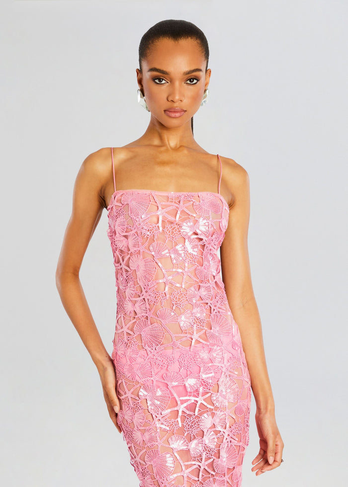 Delaina Sequin Lace Dress
