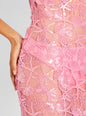 Delaina Sequin Lace Dress