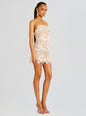 Jaala Sequin Lace Dress