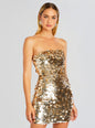 Nolia Sequin Embellished Dress