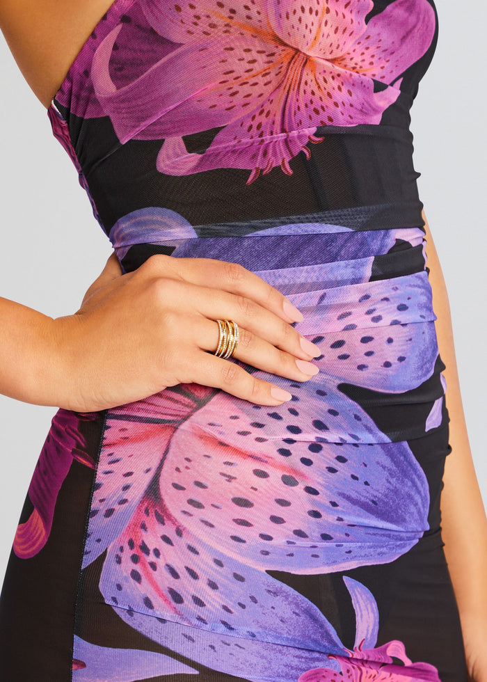 Trista Mesh Dress