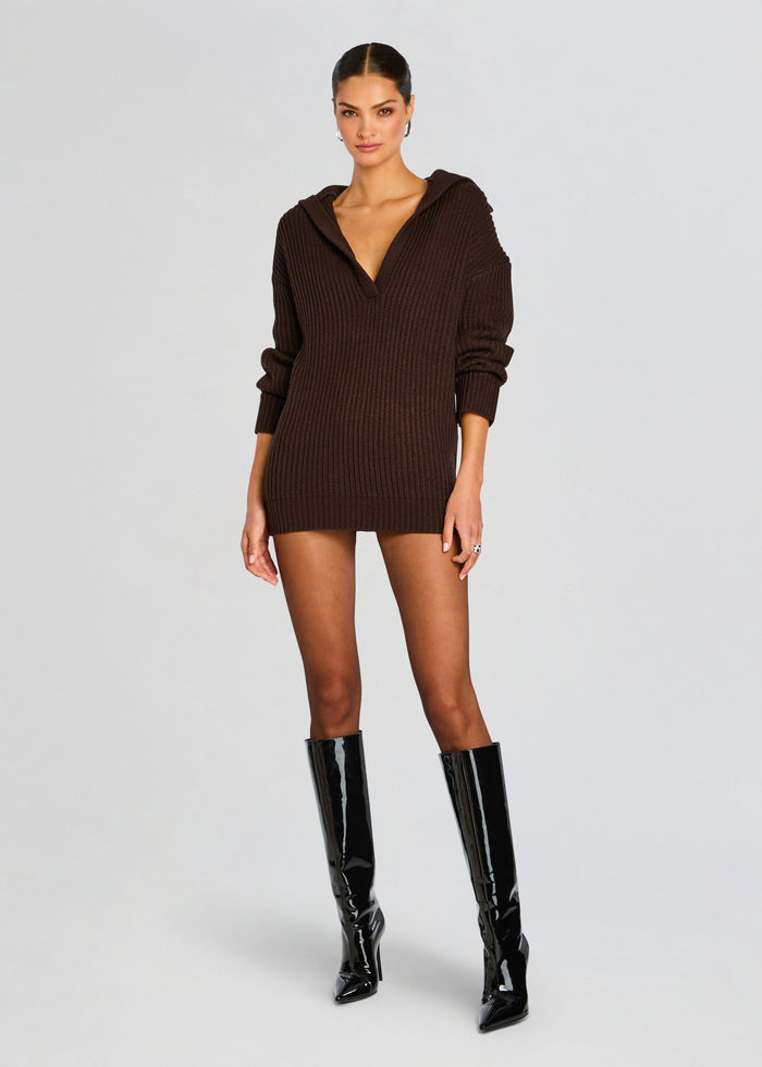 Shy Oversized Sweater Dress