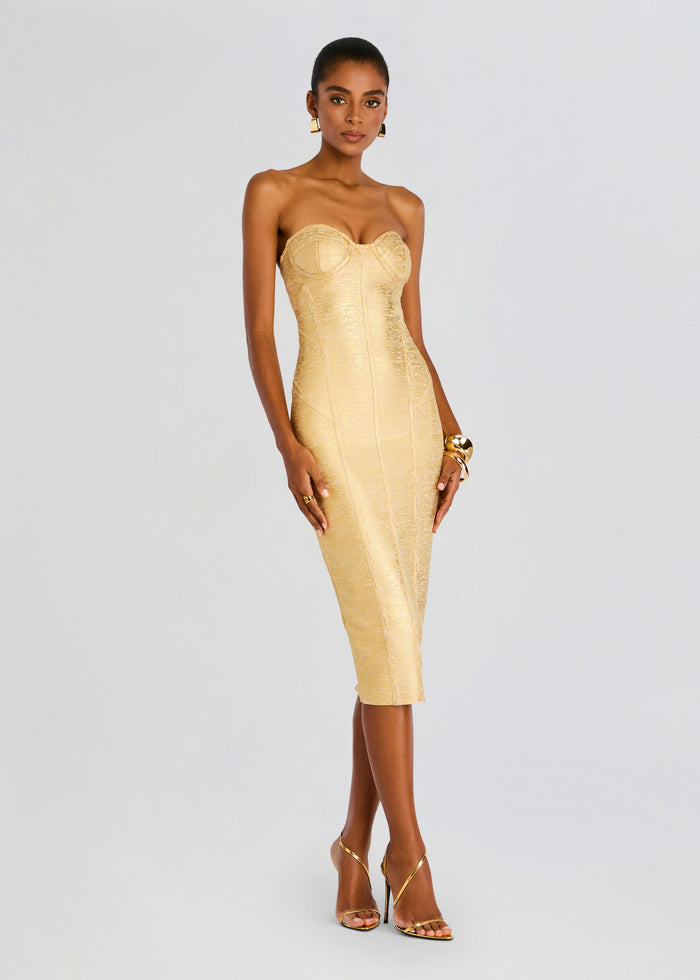 Charlize Coated Knit Dress