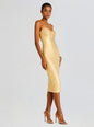 Charlize Coated Knit Dress