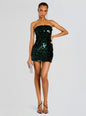 Nolia Sequin Embellished Dress