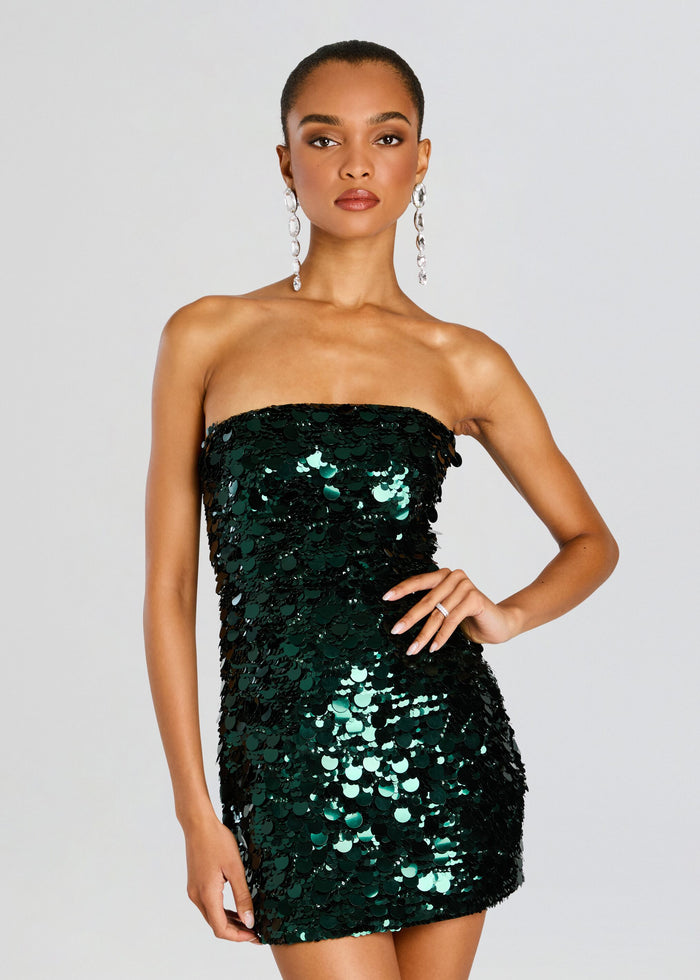 Nolia Sequin Embellished Dress