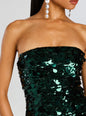 Nolia Sequin Embellished Dress