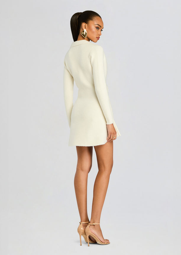 Clara Knit Mini Dress