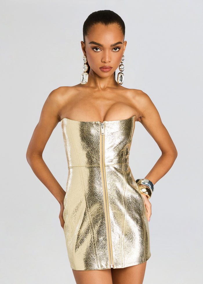 Sylvie Leather Dress