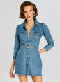Wiley Denim Dress