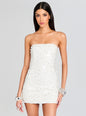Nolia Sequin Embellished Dress