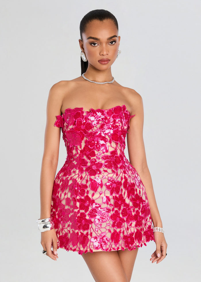 Alira Lace Dress