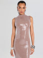 Dove Sequin Knit Dress