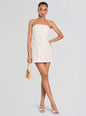 Sophia Lace Mini Dress